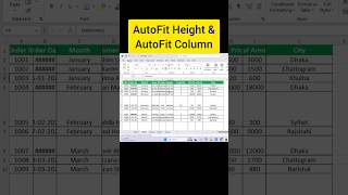 AutoFit Height &amp; AutoFit Column #exceltips #excelbangla #spreadsheetmagic #dataanalysis #datascience