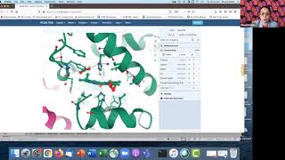 IQB Boot Camp January 2021   Day 2 Tools for Visualizing Structures in PDB   MolStar