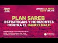 PLAN SAREB. Estrategias y horizontes contra el banco malo