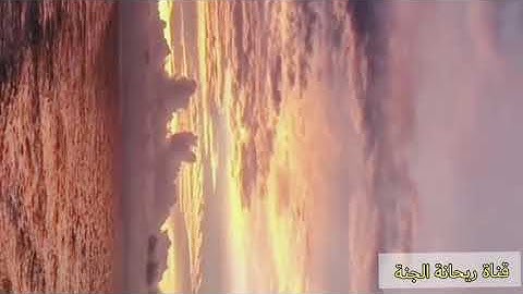 بعض من آيات✨ سورة القلم✨ بصوت القارئ سالم الرويلي تلاوة أكثر من رائعة 🌿🥀
