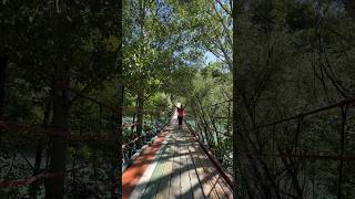 Sallanan Köprü, Tunceli