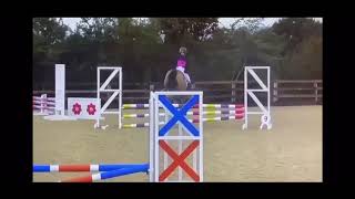 Ad ref 240564 Video 2