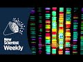 Saving babies lives by sequencing their genomes  new scientist weekly podcast 174