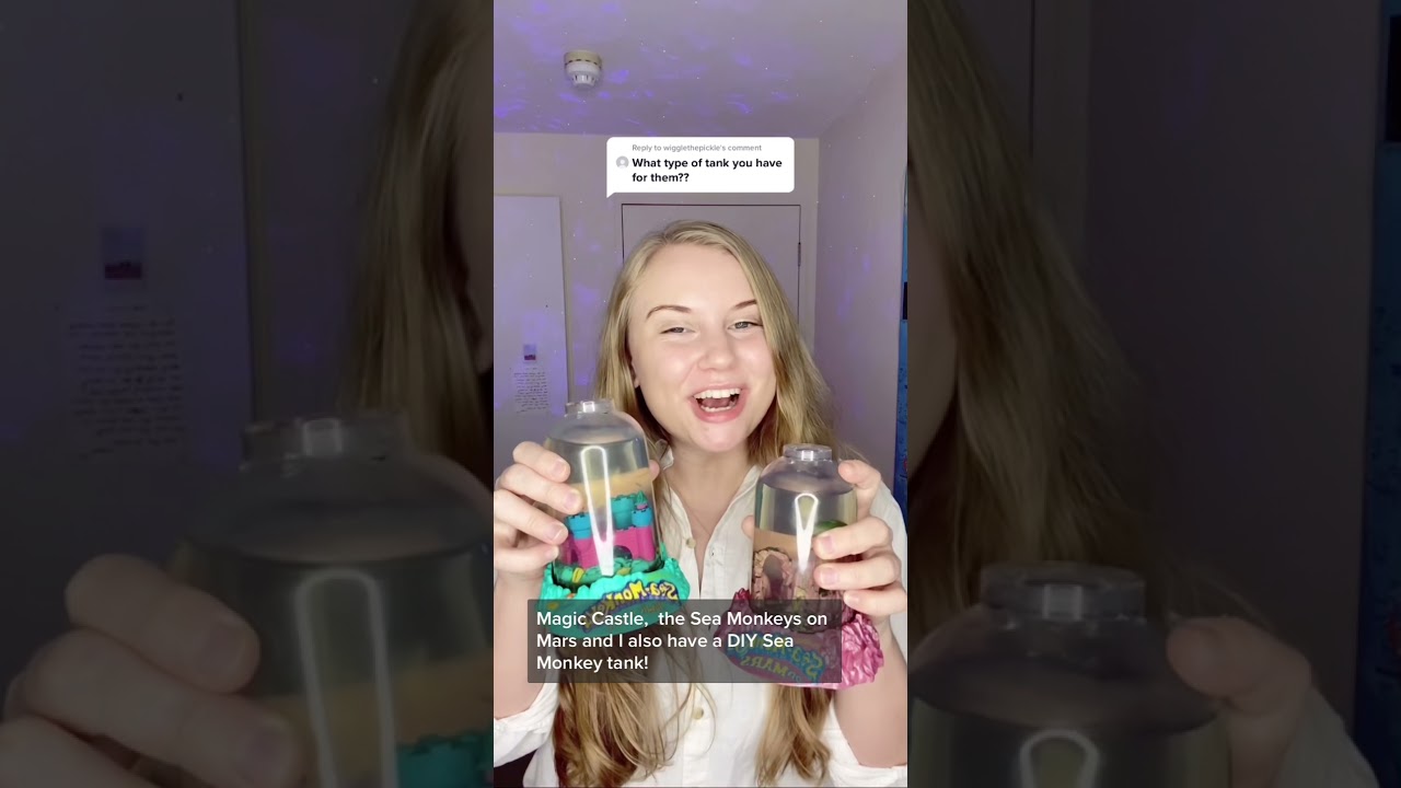 What types of Sea Monkey tanks do I have?