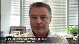 USDA WASDE July 11.25 Review - Somewhat Supportive Data