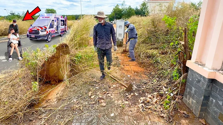 Leaving all doubts behind, I CLEANED a year abandoned sidewalk into a CLEAN WALKWAY!