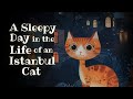 A sleepy day in the life of an istanbul cata cute sleepy story  bedtime story for grown ups