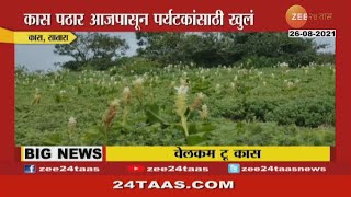 Satara | कास पठार आजपासून पर्यटकांसाठी खुलं