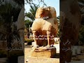 أثار محافظة المنيا مدينة الاشمونين مركز ملوي