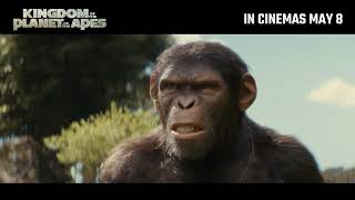 Kingdom Of The Planet Of The Apes | King IMAX