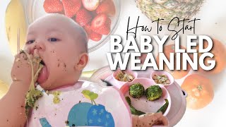 WHY WE STARTED BABY LED WEANING AT 8 MONTHS | From Traditional Weaning to Baby Leading | Philippines