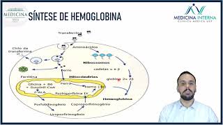 Anemia Ferropriva - Dr. Bruno Alvim