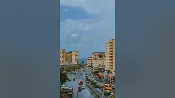 القارئ الشيخ عبد السميع الهواري:   سوره المائده
