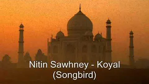 Nitin Sawhney - Koyal (Songbird)