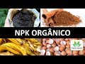 NPK ORGÂNICO: Aprenda a fazer do jeito certo! Podemos usar borra de café?