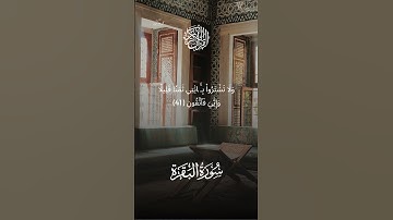 تلاوة تزيل الهم والغم #سورة_البقرة #قرآن #حالات_واتس #اكسبلور #محمد_الدجوي