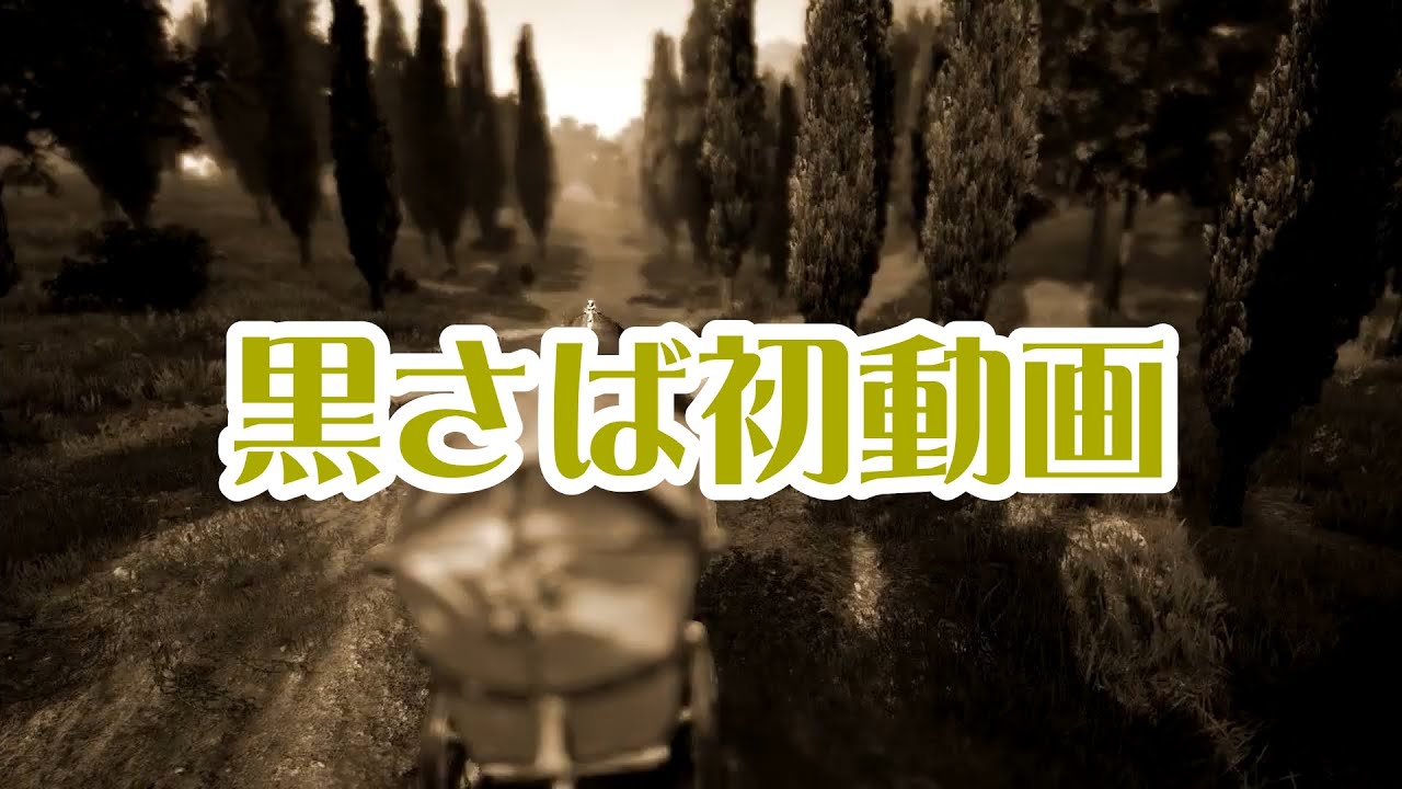 Pc版黒い砂漠 スキルロックを利用したスプリントの上げ方 21年1月時点 Youtube