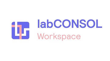 labCONSOL how to guide: The Workspace