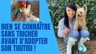 🐶🐾🐶 Bien se connaître SANS TRICHER avant d'adopter son Toutou à 4 pattes pour SA VIE ! 🐶🐾🐶