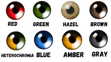 The 8 Eye Colors and What Evolutionary Advantage They Hide