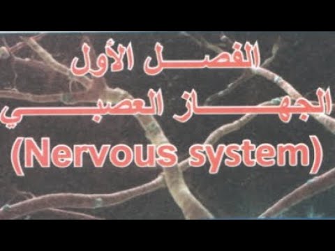 احياء الثالث المتوسط 2026 الفصل الاول الجهاز العصبي المحاضرة 2