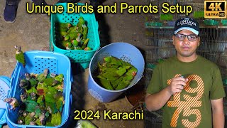 Atique Birds Setup | Unique Birds and Parrots 2024 Karachi Latest Updates