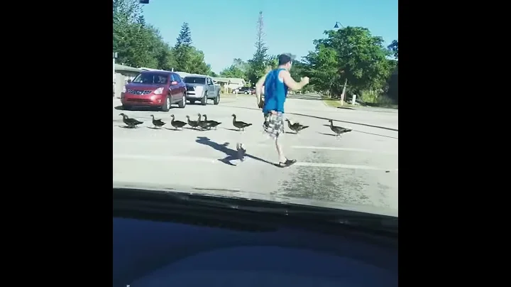 What a guy