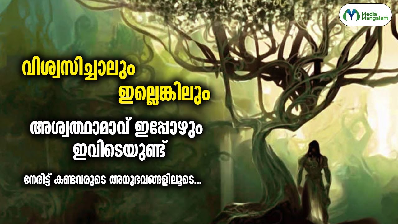 അശ്വത്ഥാമാവിനെ നേരിട്ട് കണ്ടവരുടെ അനുഭവങ്ങൾ  | Viswasichalum Illenkilum Malayalam Web Series