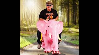 Ricky the Ant Gets Smashed By the Elephant in Forrest Fenn's Chase