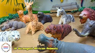 10 Strongest African Animals Muddy Adventure | Fun Learning with Ryan & Zayan