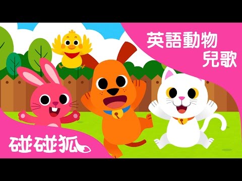 Baby Animals | 英語動物兒歌 | 碰碰狐！兒童兒歌