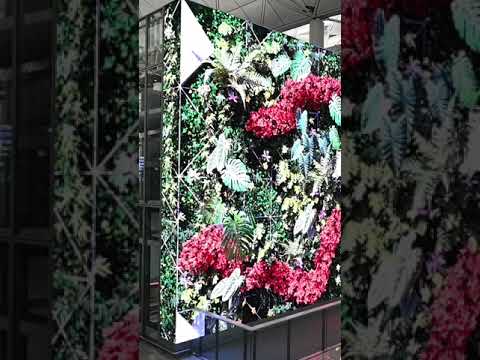 customized-video-floor-&-elevator-led-displays-(hong-kong-international-airport)