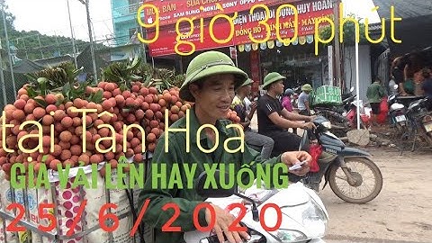Cập nhật giá vải thiều lục ngạn 25/6/2020 tại ngã ba Tân Hoa ( Luc Ngan litchi II SƠN HOÀNG TV