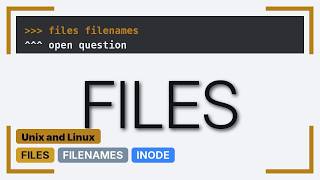 Unix & Linux: Same file name different INODES