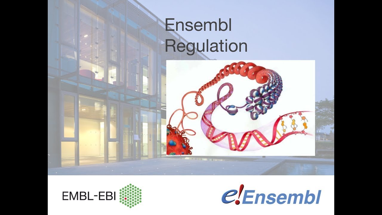 Ensembl regulation, 2018 webinar series video 5 generation z