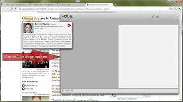 iGlue IceCube Tutorial: Automatic Annotation on Web Pages