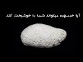 خرمهره چیست و آیا خرمهره و مهره مار شما را به خوشبختی میرساند خرمهره مهره مار لانه خفاش