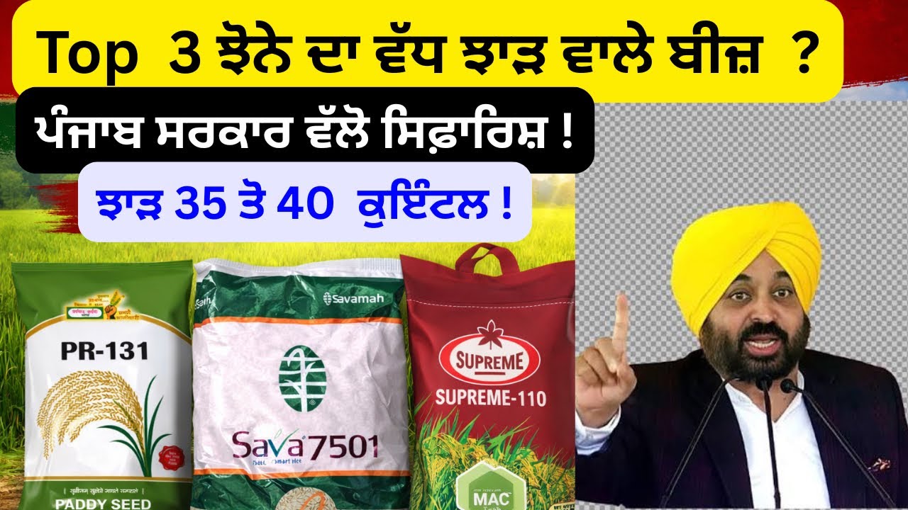 Top 3 ਝੋਨੇ ਦੇ ਬੀਜ ? ਕੁੱਝ ਪੰਜਾਬ ਸਰਕਾਰ ਅਤੇ ਲੁਧਿਆਣਾ ਯੂਨਿਵਰਸਿਟੀ ਵੱਲੋ ਵੀ ਸਿਫ਼ਾਰਿਸ਼ ! #paddy #seed #top 
