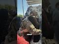 Un Soldado Se Vuelve A Encontrar Con Su Familia