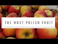 The Apple The Most Popular Fruit In Poland | Learn Polish Language Basics