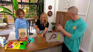 Slice Ceramic Box Cutter & Safety Cutter Set Cutters on QVC