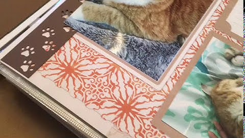 How to Use Creative Memories Border Maker System