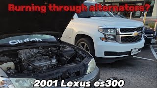 The reason why my 2001 Lexus es300 constantly burns through alternators. (and the solution!)