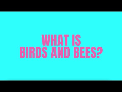 Behind the Scenes Trailer - Birds and Bees by Charlie Josephine