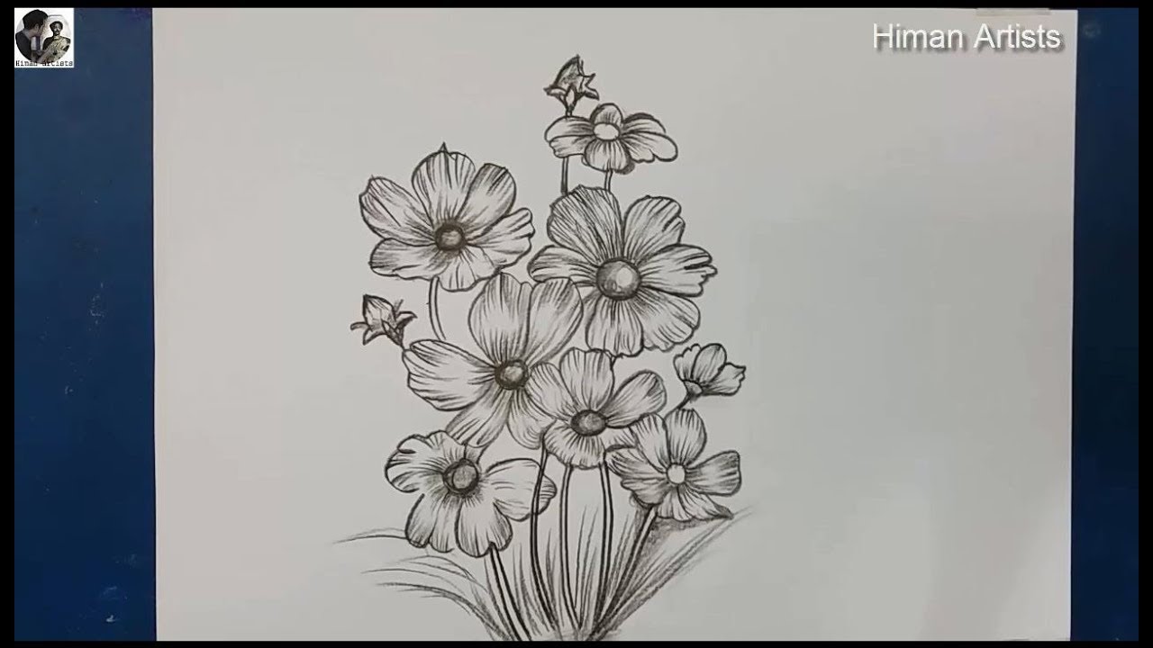 How to Draw Cosmos Flower step by step - YouTube