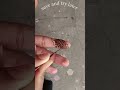simple henna design ✨🌿 #simplemehndi #easymehndi #foryoupage #explorepage #ytshortsvideo #fpy #henna