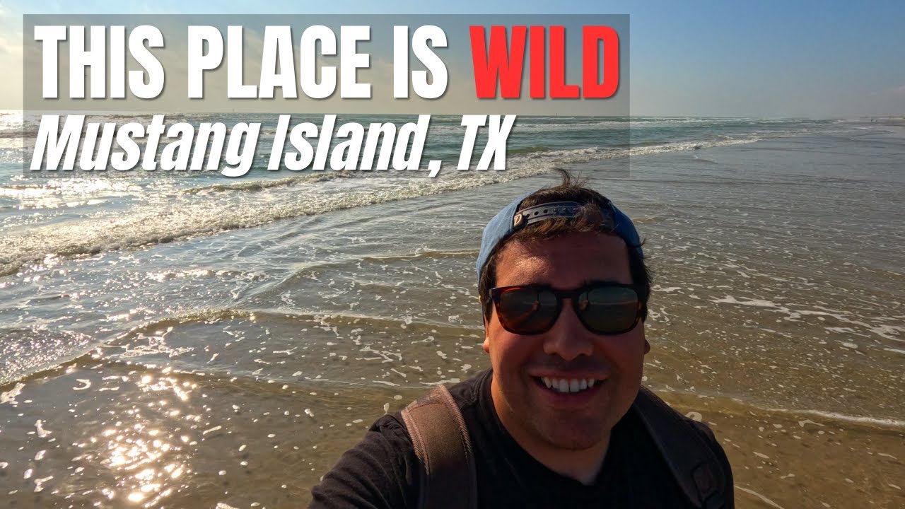 Mustang Island State Park to Port Aransas | Texas Gulf Coast Adventure
