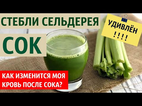 СОК СЕЛЬДЕРЕЯ. Влияние на кровь человека