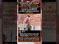 Cat Box Battle Gone Wrong 📦🐱 #FunnyCat #CatLovers