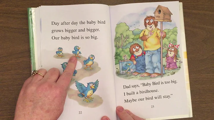 Little Critter - Just a Baby Bird